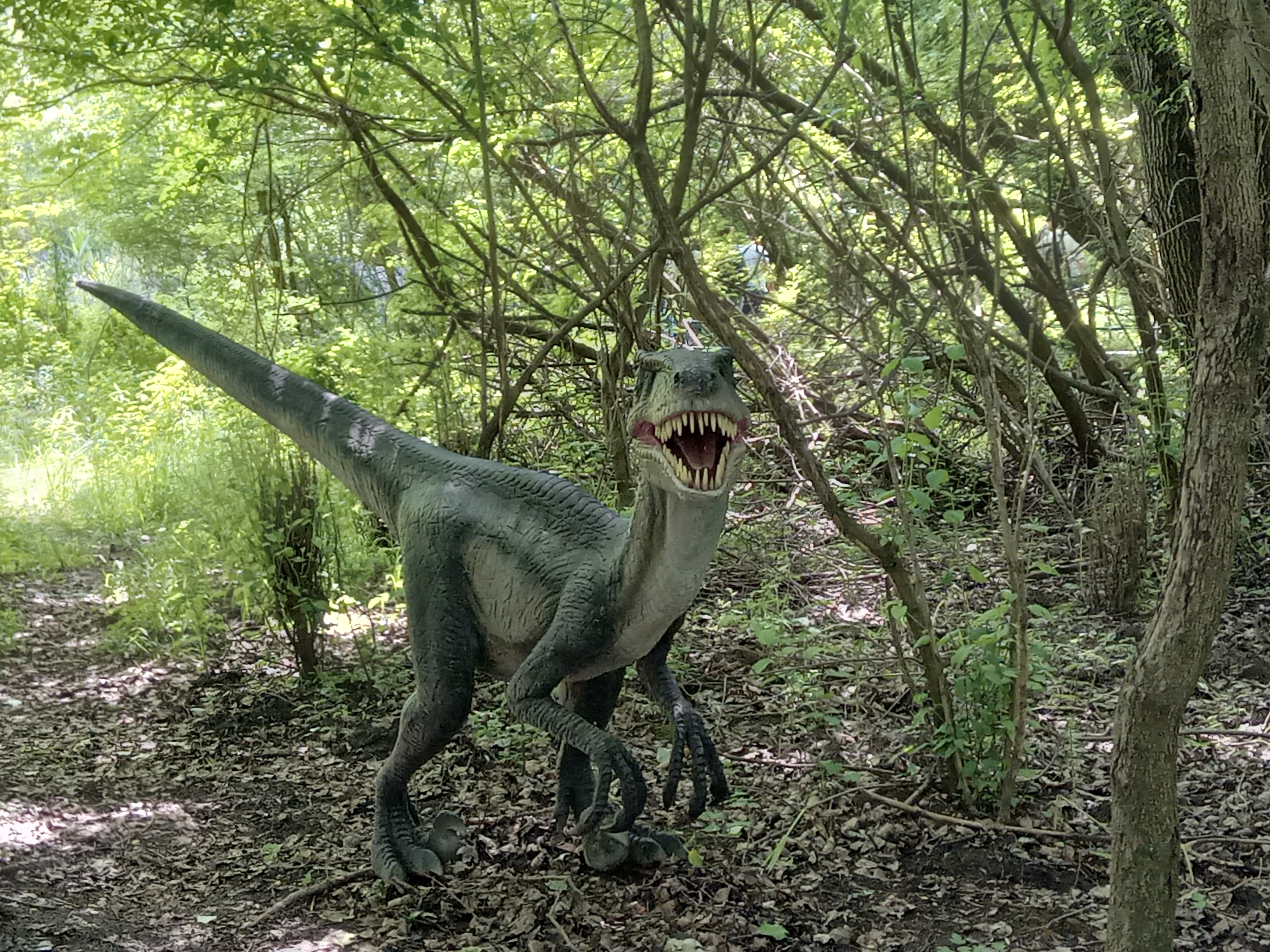 Kereki Dínó Park - Raptor