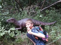 A fényképet készítette: Mária Sipőczné Oláh